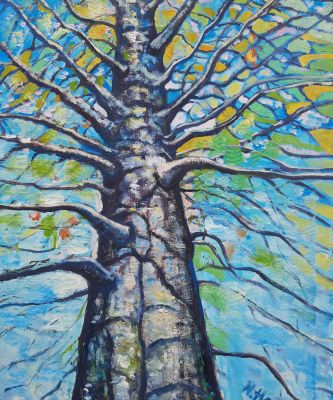 Drzewo, 60 x 80 cm, olej